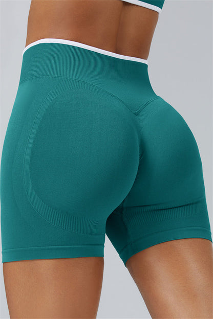 Long Sleeve Crop top Shorts 2-Piece Set