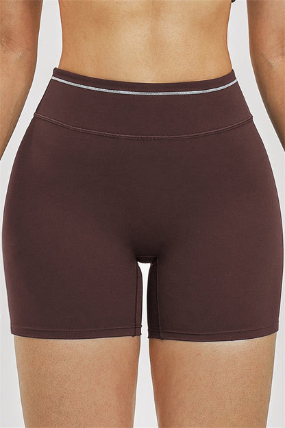 Nylon-Spandex Shorts