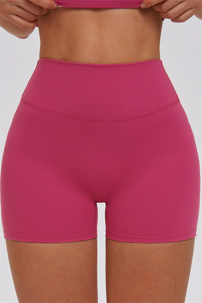 The Svelte Shorts